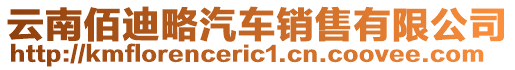 云南佰迪略汽車銷售有限公司