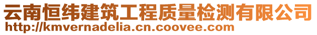 云南恒緯建筑工程質量檢測有限公司