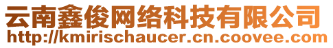 云南鑫俊網(wǎng)絡(luò)科技有限公司