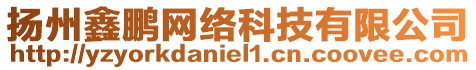 揚(yáng)州鑫鵬網(wǎng)絡(luò)科技有限公司