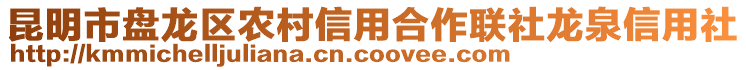 昆明市盤(pán)龍區(qū)農(nóng)村信用合作聯(lián)社龍泉信用社