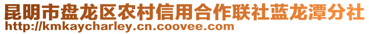 昆明市盤龍區(qū)農(nóng)村信用合作聯(lián)社藍(lán)龍?zhí)斗稚? style=