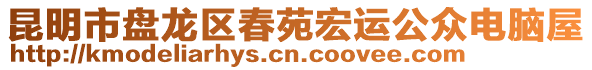 昆明市盤龍區(qū)春苑宏運公眾電腦屋