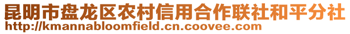 昆明市盤龍區農村信用合作聯社和平分社