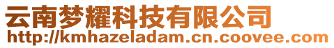 云南梦耀科技有限公司