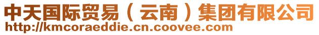 中天國際貿(mào)易（云南）集團(tuán)有限公司