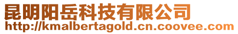 昆明陽岳科技有限公司