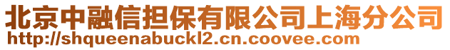 北京中融信擔保有限公司上海分公司