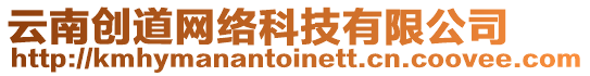 云南創(chuàng)道網(wǎng)絡(luò)科技有限公司