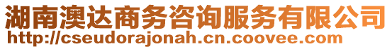 湖南澳達商務咨詢服務有限公司