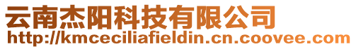 云南杰陽科技有限公司
