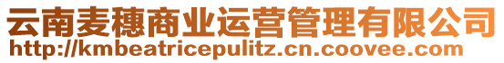 云南麥穗商業(yè)運(yùn)營管理有限公司