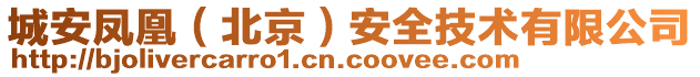 城安鳳凰（北京）安全技術有限公司