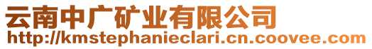 云南中廣礦業(yè)有限公司