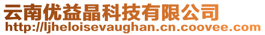 云南優(yōu)益晶科技有限公司