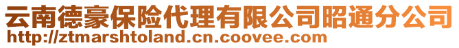 云南德豪保險代理有限公司昭通分公司