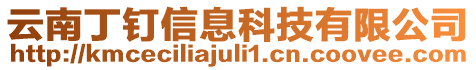 云南丁釘信息科技有限公司