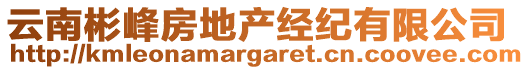 云南彬峰房地產(chǎn)經(jīng)紀(jì)有限公司