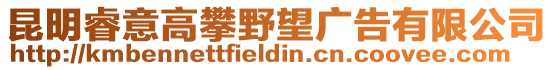 昆明睿意高攀野望廣告有限公司