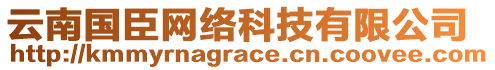 云南國臣網(wǎng)絡(luò)科技有限公司