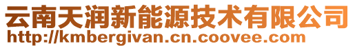 云南天潤新能源技術有限公司