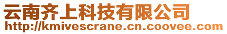 云南齊上科技有限公司