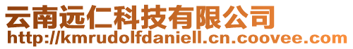 云南遠(yuǎn)仁科技有限公司