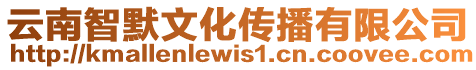云南智默文化傳播有限公司