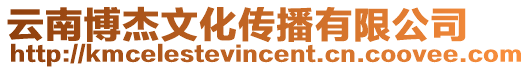 云南博杰文化傳播有限公司