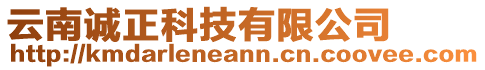 云南誠(chéng)正科技有限公司