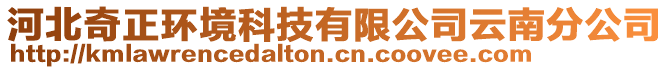 河北奇正環(huán)境科技有限公司云南分公司