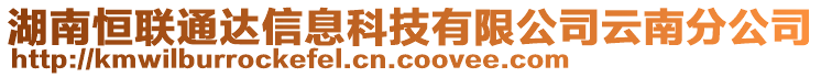 湖南恒聯(lián)通達(dá)信息科技有限公司云南分公司