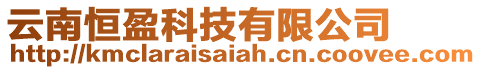 云南恒盈科技有限公司
