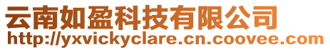云南如盈科技有限公司