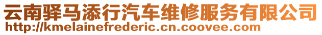 云南驛馬添行汽車維修服務(wù)有限公司