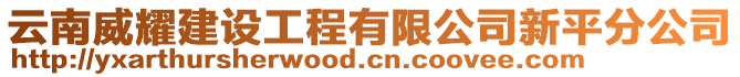 云南威耀建設工程有限公司新平分公司