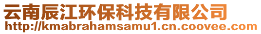 云南辰江環(huán)保科技有限公司