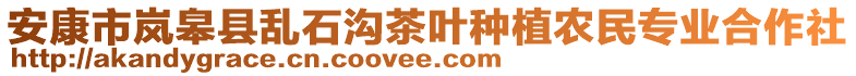 安康市嵐皋縣亂石溝茶葉種植農(nóng)民專業(yè)合作社