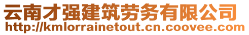 云南才強(qiáng)建筑勞務(wù)有限公司