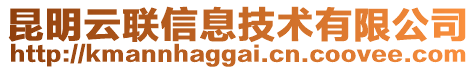 昆明云聯(lián)信息技術有限公司