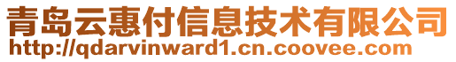 青島云惠付信息技術(shù)有限公司