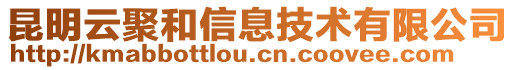 昆明云聚和信息技术有限公司