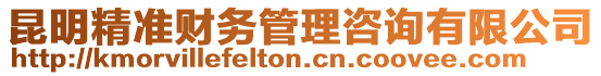 昆明精準(zhǔn)財務(wù)管理咨詢有限公司