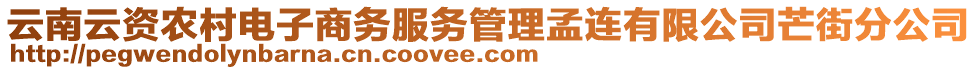 云南云資農(nóng)村電子商務(wù)服務(wù)管理孟連有限公司芒街分公司