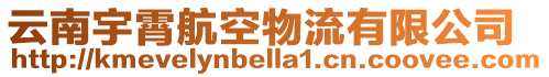 云南宇霄航空物流有限公司