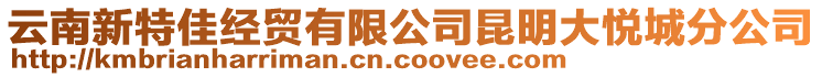 云南新特佳經(jīng)貿(mào)有限公司昆明大悅城分公司