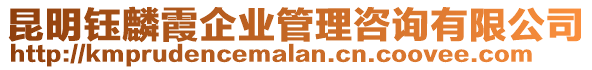 昆明鈺麟霞企業(yè)管理咨詢有限公司