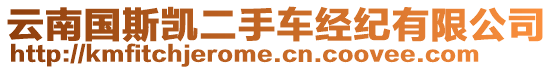 云南國(guó)斯凱二手車經(jīng)紀(jì)有限公司