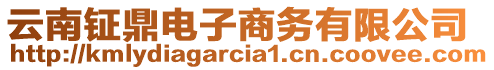 云南鉦鼎電子商務(wù)有限公司