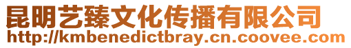 昆明藝臻文化傳播有限公司